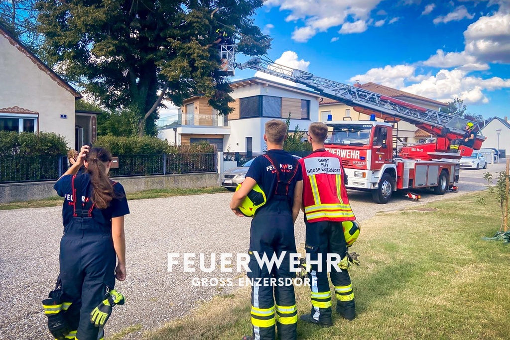 T0 Ein Ast droht abzureissen