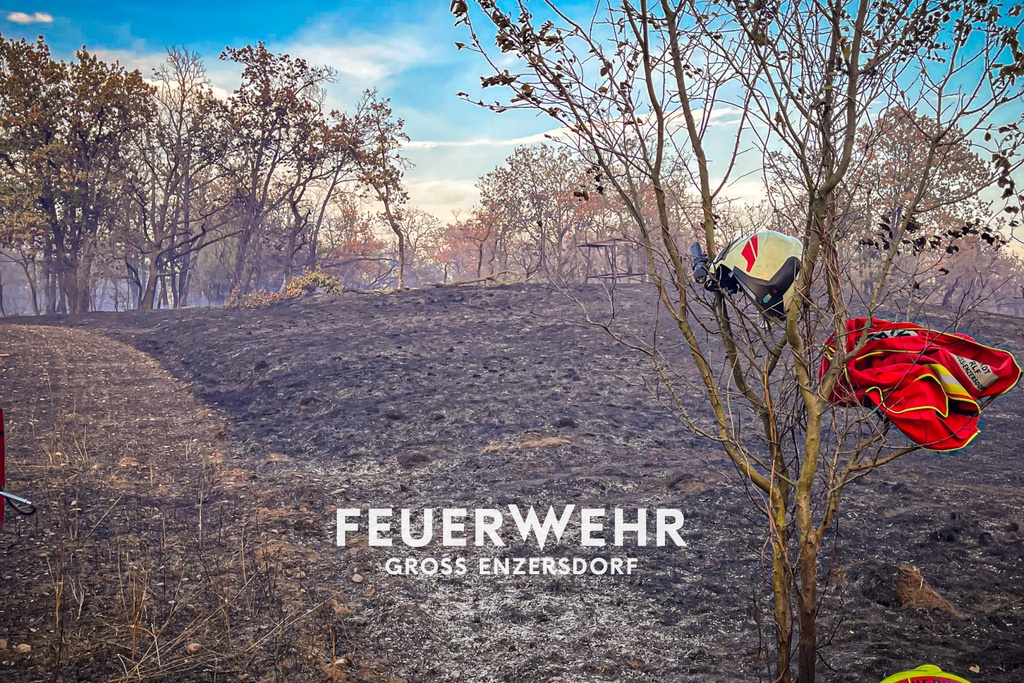 B3 Waldbrand