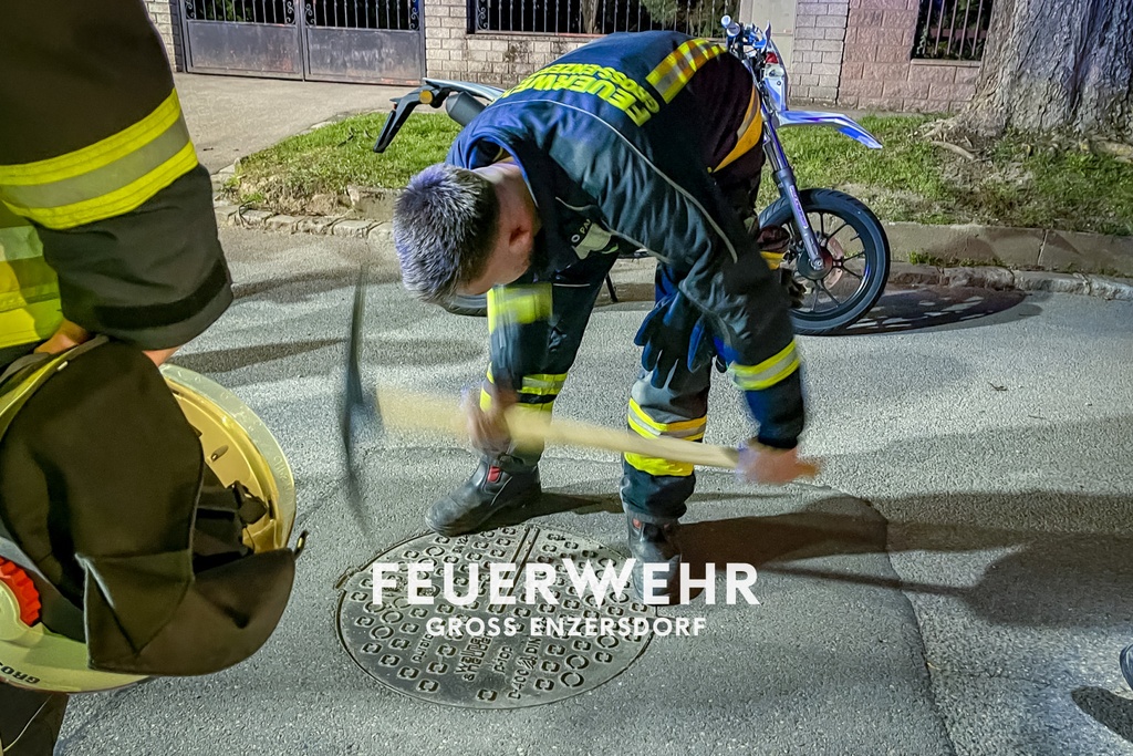 S1 Unbekannter Geruch im Keller