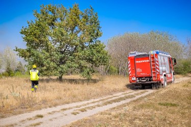 Bundesländerübergreifender Vegetationsbrand in der Lobau