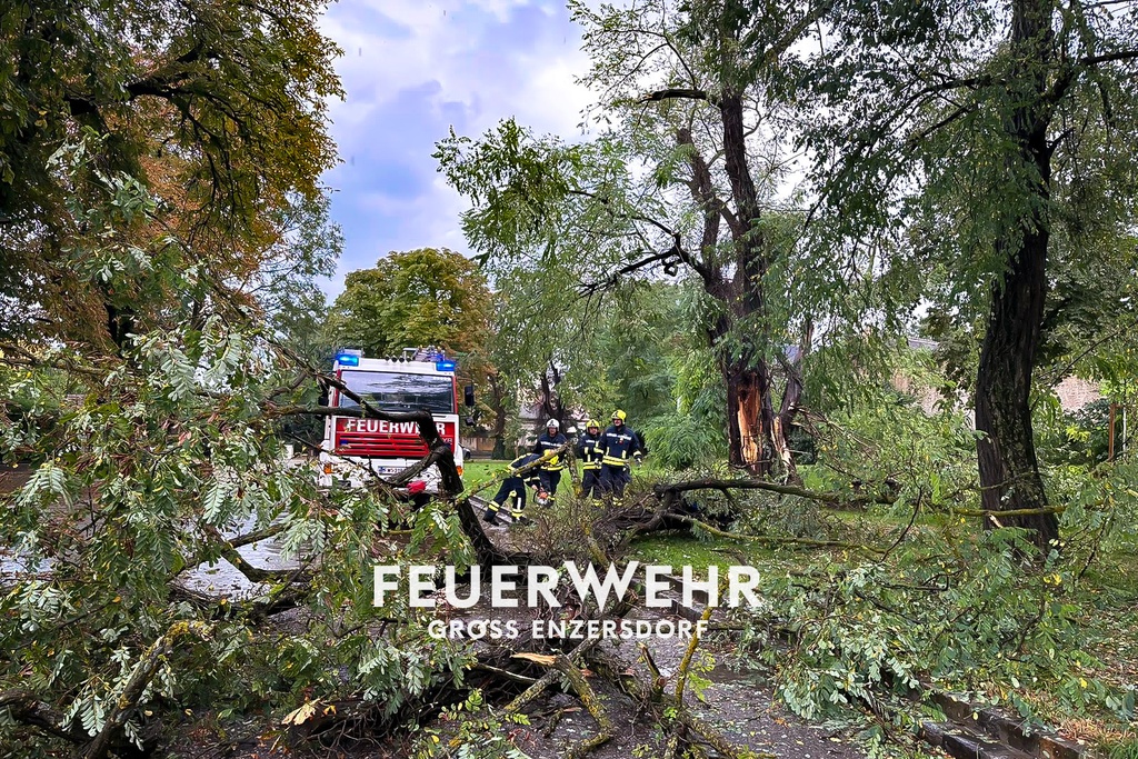 T1 16 Unwettereinsätze
