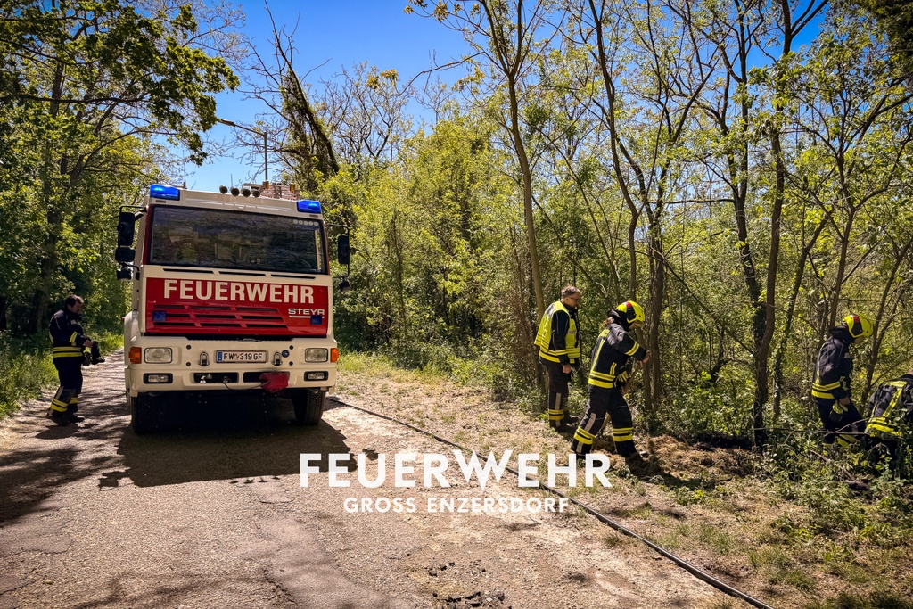 B1 Vegetationsbrand in der Badgasse