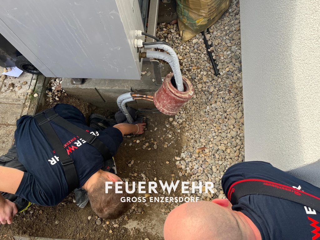 Tierrettung aus Heizungsrohr
