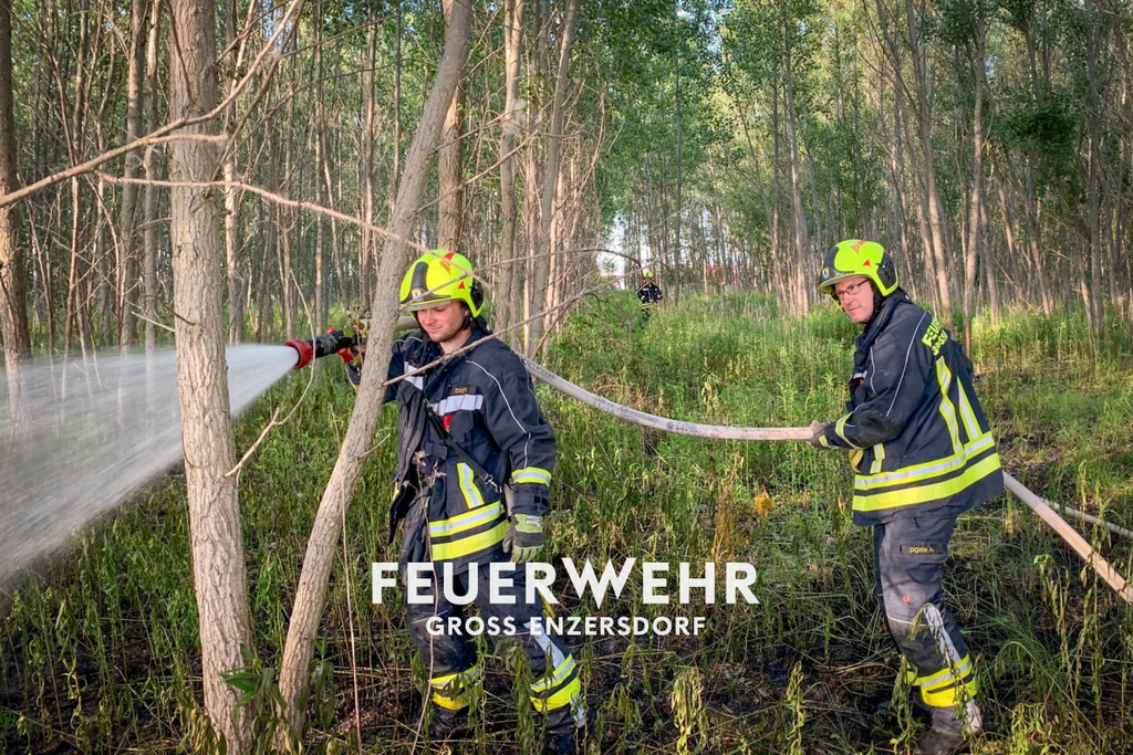 Waldbrand durch offenbare Unachtsamkeit.