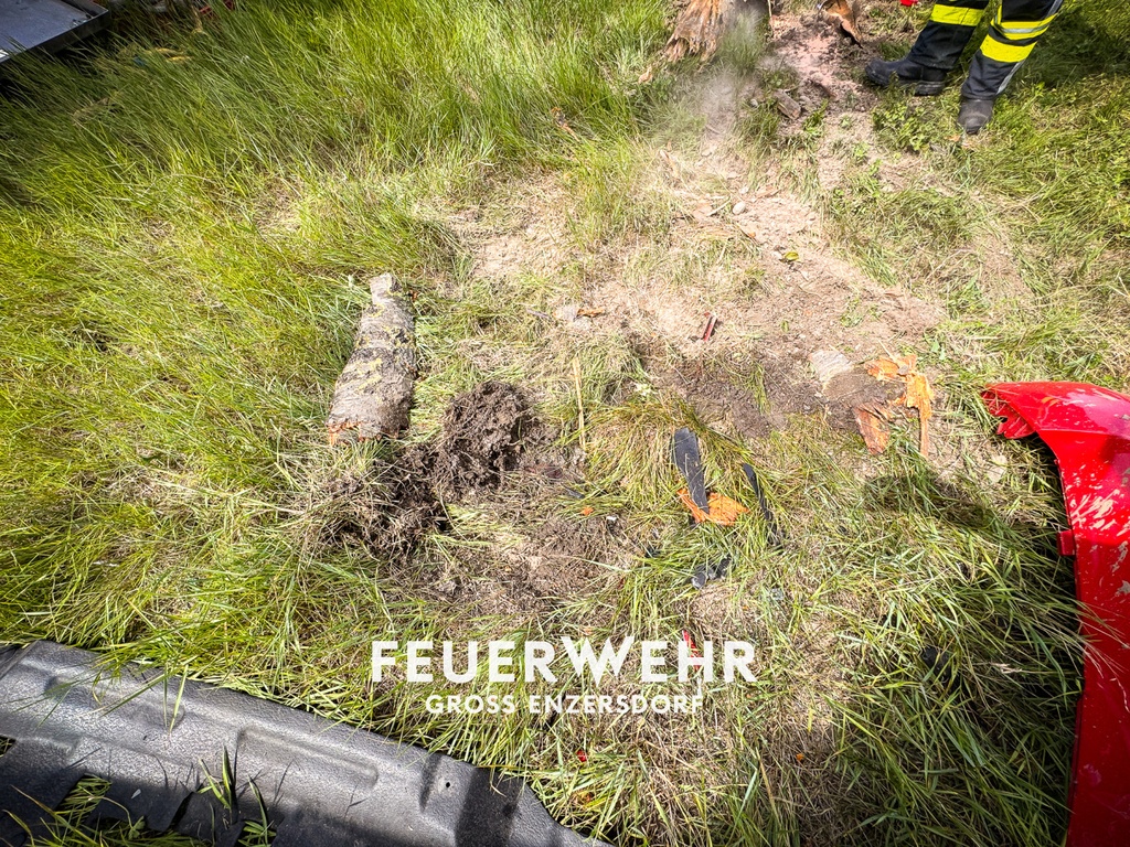 Verkehrsunfall PKW gegen Baum