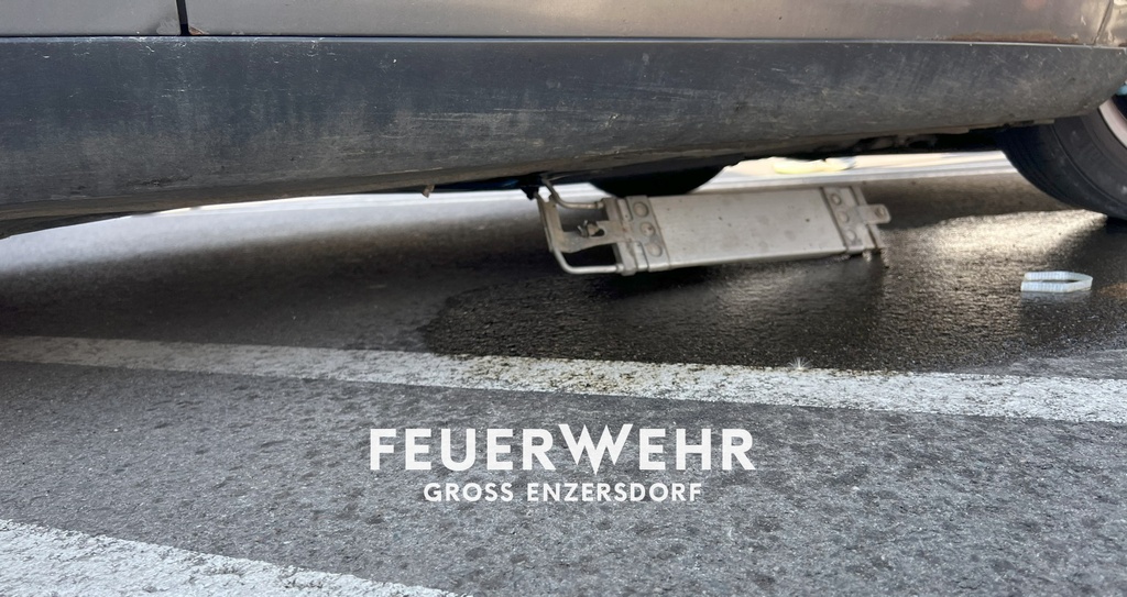 Ein kleiner Grabenhüpfer