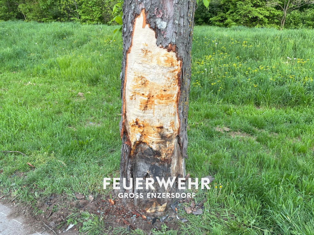 Kleintransporter gegen Baum