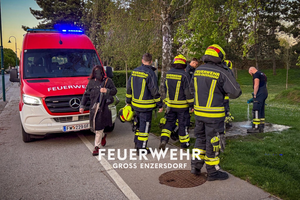 Ein ungewöhnlicher Einsatz