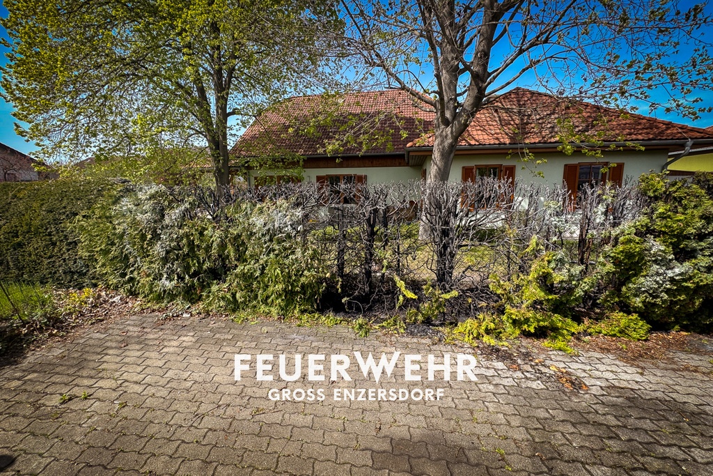 Hecke in Brand